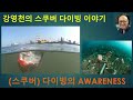 강영천의 스쿠버 다이빙 이야기 - (스쿠버) 다이버의 인지(AWARENESS)