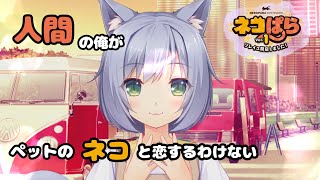 #3【ネコぱら Vol.1 ソレイユ開店しました】おにいさん２人とネコと【男２人実況】