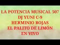 Herminio Rojas El Palito de Limón en vivo