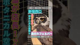 【新宿西口】昼と夜で異なるスタイルを楽しめる大人のカフェ＆バー！💡