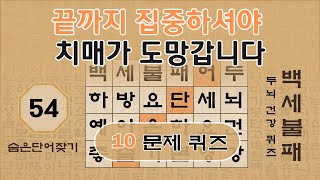 끝까지 집중해서 푸셔야 치매에서 멀어지는 법입니다 - 54편 [숨은단어찾기, 치매예방퀴즈, 뇌운동 훈련, 낱말퀴즈]