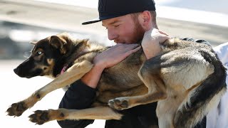 海に転落して行方不明になった犬。絶望的と思われた5週間後、無事な姿で発見され飼い主と再会を果たす【感動 動物】