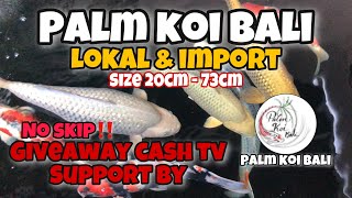 REVIEW PALM KOI BALI | IKAN KOI LOKAL JUMBO & IMPORT BODY BULKY SIMAK HARGANYA‼️ #CASHKOI