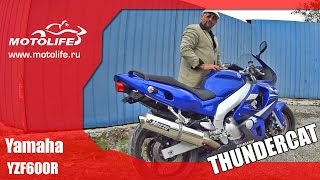 YAMAHA YZF600R THUNDERCAT