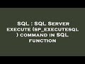 SQL : SQL Server execute (sp_executesql ) command in SQL function