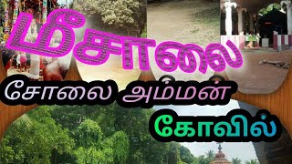 மீசாலை கிராம சூழலில் அமைந்துள்ள சில கோயில்கள் jaffna meesalai