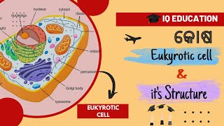 Eukyrotic Cell । କୋଷ ଓ ତାର ସଂରୋଚୋନ। Biology #osstet #otet #cbz