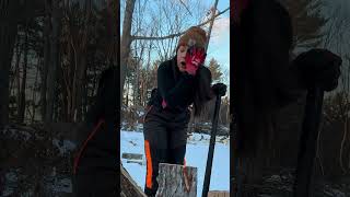 🪓Dismantling Red Oak in my NEW Suspenders💃 #axe #shorts #firewood #outdoors #diy