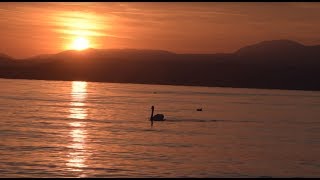 Abendstimmung am Gardasee | Sunset in Garda | Music Video