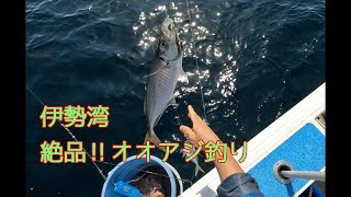 伊勢湾　絶品！！オオアジ釣り