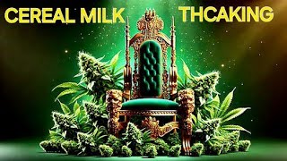 Cereal Milk Indoor Legal Weed Review from THCAKING