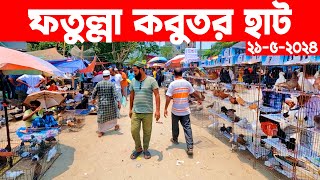 ফতুল্লা কবুতর হাট ২১-৫-২০২৪ | kobutor hat 2024 | pigeon market in bangladesh | fotulla kobutor hat