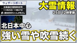 【大雪情報】北日本中心に強い雪や吹雪続く 視界不良に注意＜25日　12時更新＞