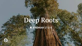 Deep Roots | Audio Reading | Our Daily Bread Devotional | May 17, 2026