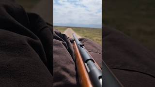 Remington Model 41 Target master!