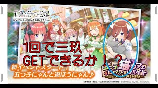 五等分の花嫁 五つ子ちゃんはパズルを五等分できない。【ごとぱず】三玖狙いで5確定ガチャ1発勝負