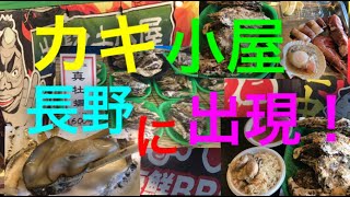 炭火で食べる海鮮BBQが長野に出張！！カキ小屋 牡蠣奉行　（長野市期間限定）