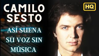 Así suena su voz sin música | Camilo Sesto - El amor de mi vida (HQ)
