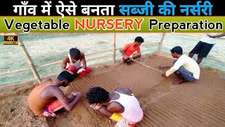 Seed Sowing Process in Nursery of Tomato, Brinjal, Chilli | सब्जी की नर्सरी बनाने की प्रक्रिया देखिए