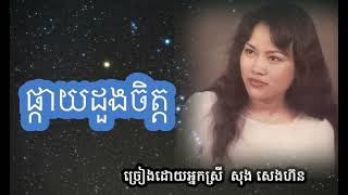 ផ្កាយដួងចិត្ត ច្រៀងដោយ​អ្នកស្រី សុង​សេងហ៊ន