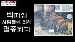 [OK북텔러] 빅픽쉬_5분에책1권읽기