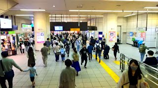 【4K60】赤羽駅構内を散策！東京都北区