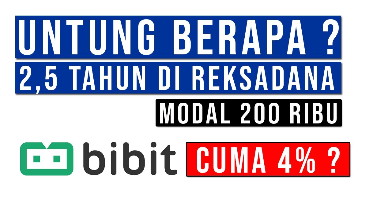 REVIEW 2,5 TAHUN INVESTASI REKSADANA SAHAM Di BIBIT ( Modal Kecil 100 ...