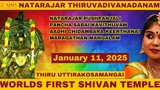 Natarajar Thiruvadiva Nadanam 2025