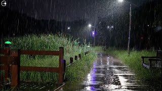 The comfortable sound of rain falling on a beautiful night road, white noise to improve insomnia