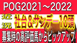 POG2021〜2022 No.① ノーザンファーム　社台ファーム　サンデー＆社台から募集時高評価だった馬をピックアップしてご紹介！【一口馬主】