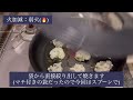 【副菜・食育】枝豆と豆腐のお焼き