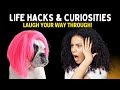 Life Hacks & Curiosities: Laugh Your Way Through!