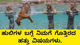 ಹುಲಿಗಳ ಬಗ್ಗೆ ನಿಮಗೆ ಗೊತ್ತಿರದ ಹತ್ತು ವಿಷಯಗಳು. TEN UNKNOWN FACTS ABOUT TIGER. UNKNOWN FACTS IN KANNADA.