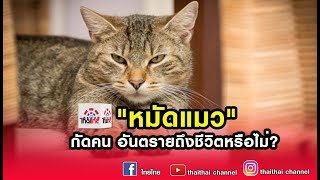 ข่าวไทยไทย | \