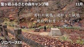 濡れた絨毯と浸かった絨毯　晩秋の紅葉ソロキャンプ【聖ヶ岩ふるさとの森キャンプ場】