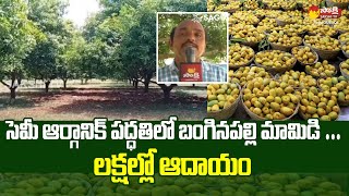 Banaganapalle Mango Cultivation With Semi Organic Method @SakshiTVSagubadi