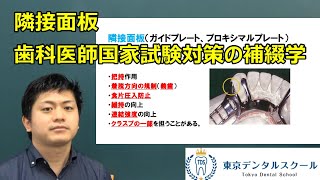 隣接面板の働き　歯科医師国家試験対策の部分床義歯・補綴学