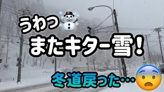 札幌の冬☃️夜中からずーっと雪！雪かきに雪道…やっぱり油断ならないです😓