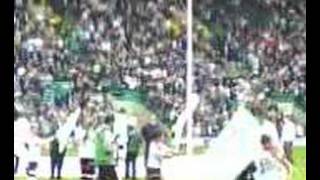 champions flag day at celtic park
