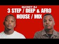 BEST OF 3 STEP / DEEP & AFRO HOUSE MIX | Dlala Thukzin, Oscar Mbo 