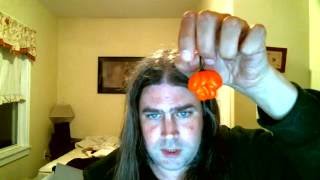 Scotch Bonnet Freeport Orange  -  Hot Pepper Review