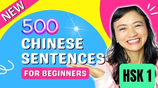 Basic Chinese Words in Sentences for Beginners - NEW HSK 1 Full Vocabulary Examples