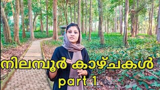 വരൂ ..നിലമ്പൂരിലെ കാഴ്ചകൾ കാണാം .|Nilambur tourist places|CHASE THE GALA