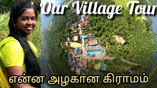 Village Tour / Beautiful village / Village cooking with kausalya.