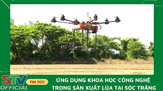 STV - Ứng dụng khoa học công nghệ trong sản xuất lúa tại Sóc Trăng