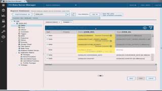 Data Server Manager - Database Administration