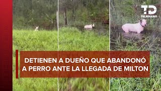 Policía rescata a perrito atado a reja antes de la llegada del huracán 'Milton' a Florida