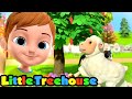 Mulberry Bush Nursery Rhymes | Children Songs & Kids Cartoon | Baby Songs by Little Treehouse