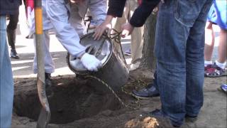 [2011-12-24][1]習志野市立秋津小学校タイムカプセル掘り起こし会