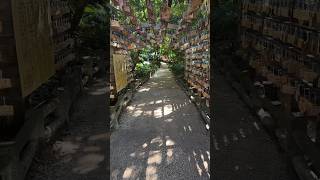 青島神社⛩️（宮崎）